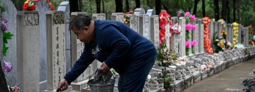 Корейские памятники на могилу в Старонижестеблиевской, фото, цена